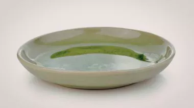 plating-instructions-image